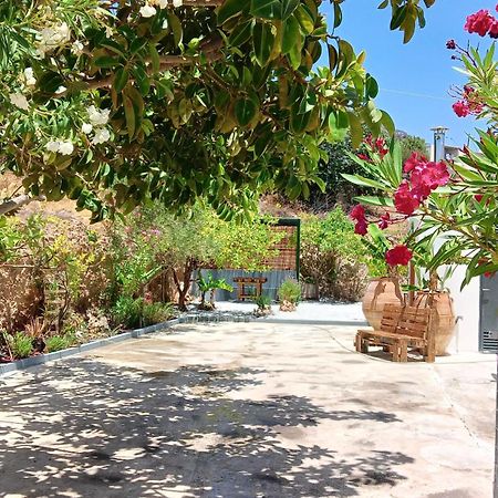 Sun Day Villa Achlia المظهر الخارجي الصورة