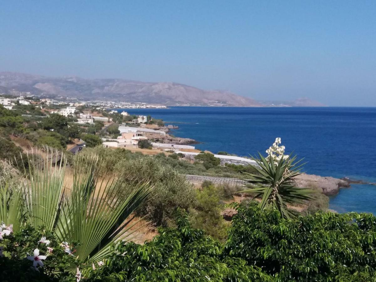 Sun Day Villa Achlia المظهر الخارجي الصورة